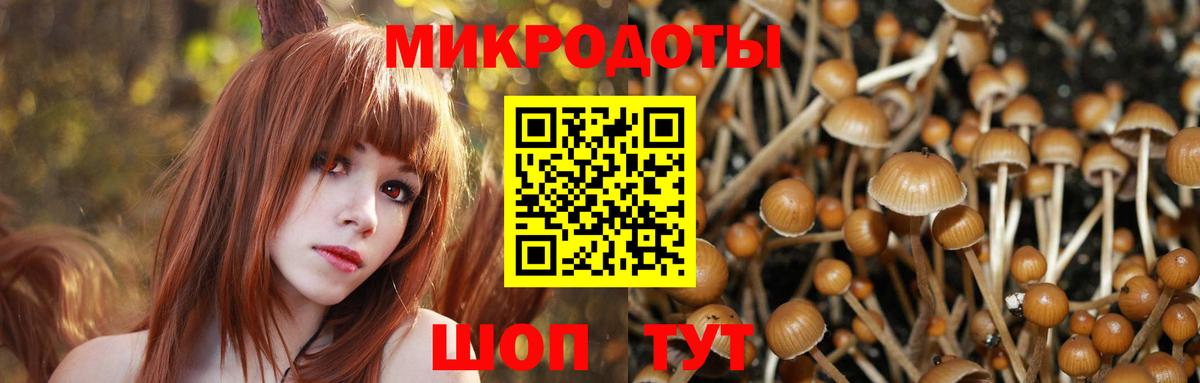 Галлюциногенные грибы прущие грибы Карасук